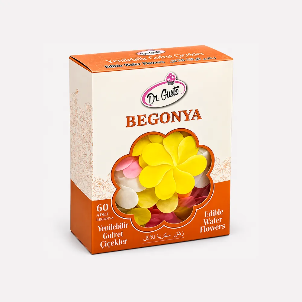 FLEUR DR. GUSTO BEGONIA